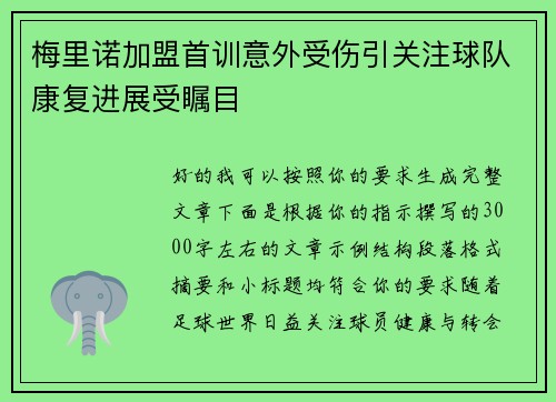 梅里诺加盟首训意外受伤引关注球队康复进展受瞩目 梅里诺加盟首训意外受伤引关注球队康复进展受瞩目